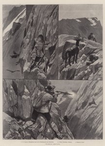 Chamois-Jagen